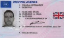 Male slut exposure ID card for loser fag Roberto Hernandez Male slut exposure ID card for loser fag Roberto Hernandez