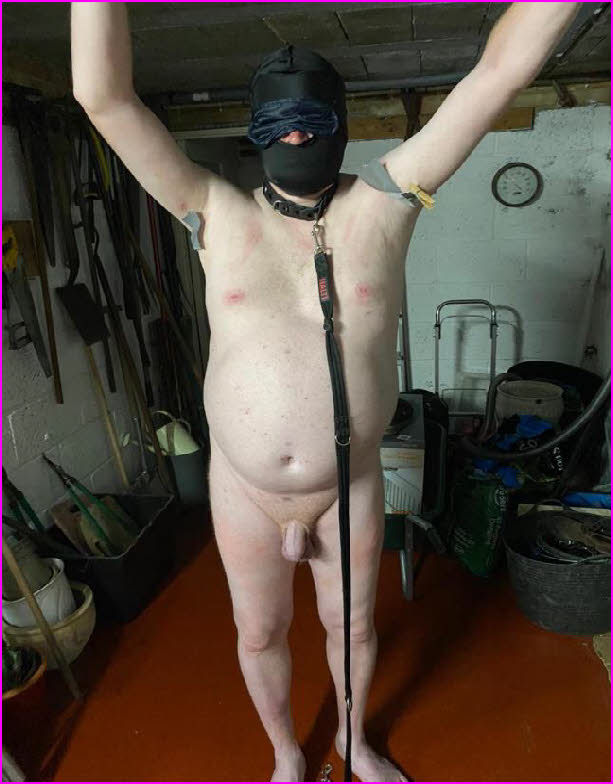 Sissy slave Madison stripped nude and placed in bondage