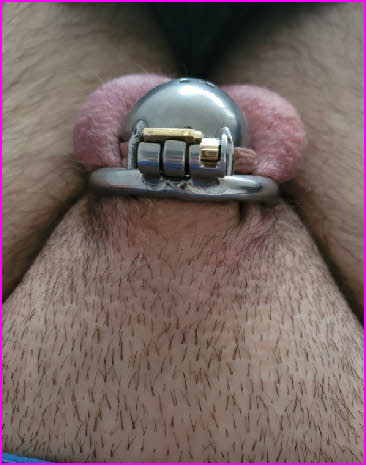 Close-up of sissy loser Kevin's staggeringly tiny caged clitoris Close-up of sissy loser Kevin's staggeringly tiny caged clitoris